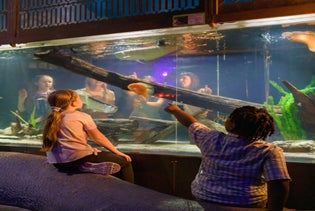 City Museum St. Louis in St. Louis, Missouri