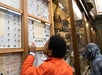 Kids discover biodiversity through museum exhibits.
