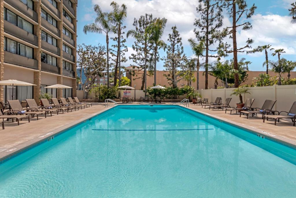 Outdoor swimming pool at a hotel, surrounded by lounge chairs and palm trees, with a clear blue sky above.