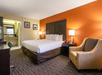 Guest room with one king bed and a leather armchair
