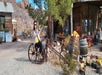 Person sitting on a rusted bicycle sculpture in a rustic outdoor setting with wooden buildings, pumpkins on barrels, and a rocky background.