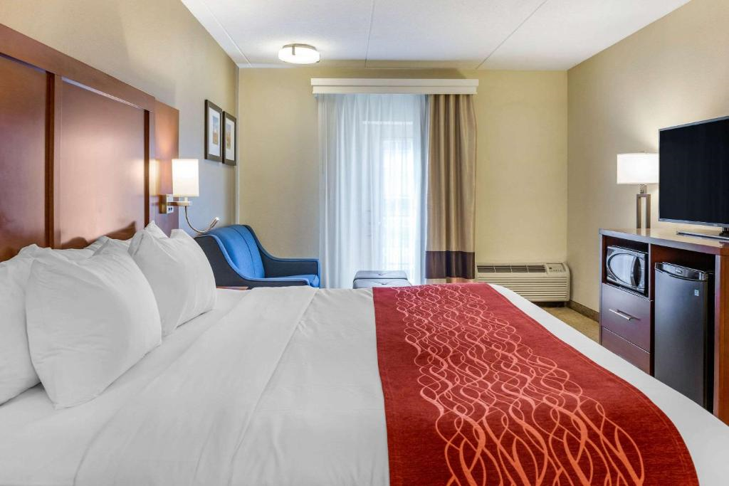 Hotel room with a neatly made bed, red decorative runner, blue chair, TV, and lamps. A window with sheer curtains allows natural light to enter.