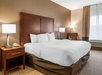 1 King bed at Comfort Inn Southwest Louisville, KY.