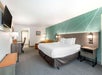 Hotel room with a king-size bed, teal accent wall, and modern furniture. A flat-screen TV is mounted on the wall, and there's a work desk, armchair, and bedside tables.