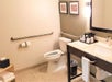 Private bathroom with sink & mirror and toilet.