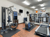 Fitness room with treadmill, and other cardio equipment and weights.
