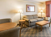 Sofa bed in sitting area at Comfort Inn & Suites, Valdosta, GA.