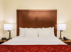 One king bed, two bed side lamps, telephone and an alarm clock inside a non-smoking room.
