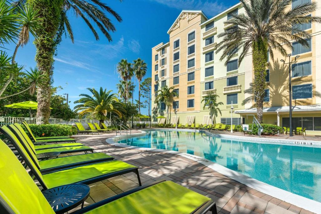 Outdoor pool with tall palm trees and neon green lounge chairs.