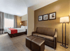 One King bed and a seating area inside a guest room at Comfort Suites Mason Near Kings Island.