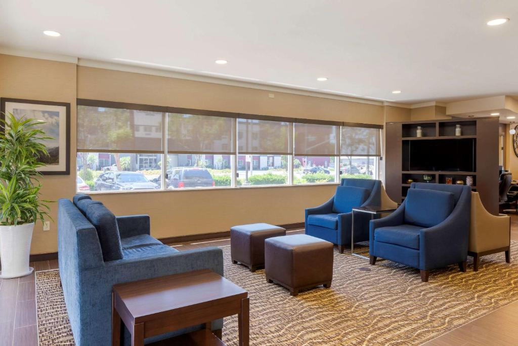 A modern lounge with blue armchairs, a blue sofa, brown ottomans, a large window, a TV, and a potted plant, all set on a patterned rug.