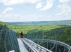 Copperhead Mountain Coaster in Branson, MO