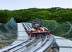 Copperhead Mountain Coaster in Branson, MO