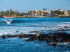 Waves crash onto rocks with a coastal resort and palm trees in the background under a clear blue sky.