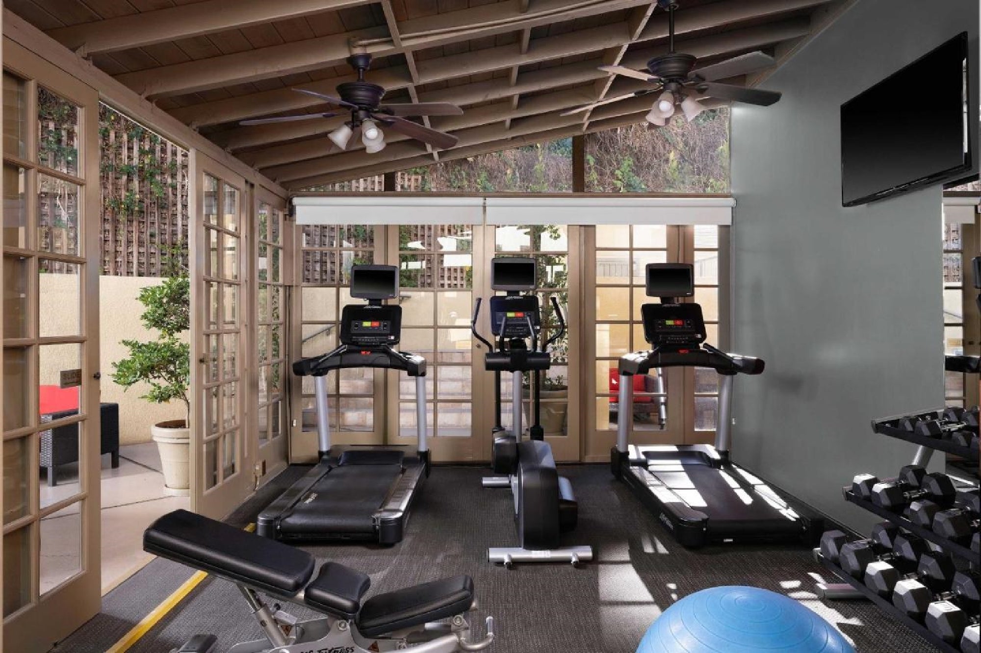 Fitness center with treadmills and free weights.