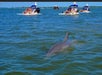 Creek-Cat Tour at Hilton Head Island by Lowcountry Watersports