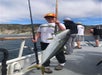 An angler wearing an orange ball cap holds a yellowtail amberjack in one hand and a rod & reel in the other. Three other anglers are fishing in the background with partly cloudy skies.