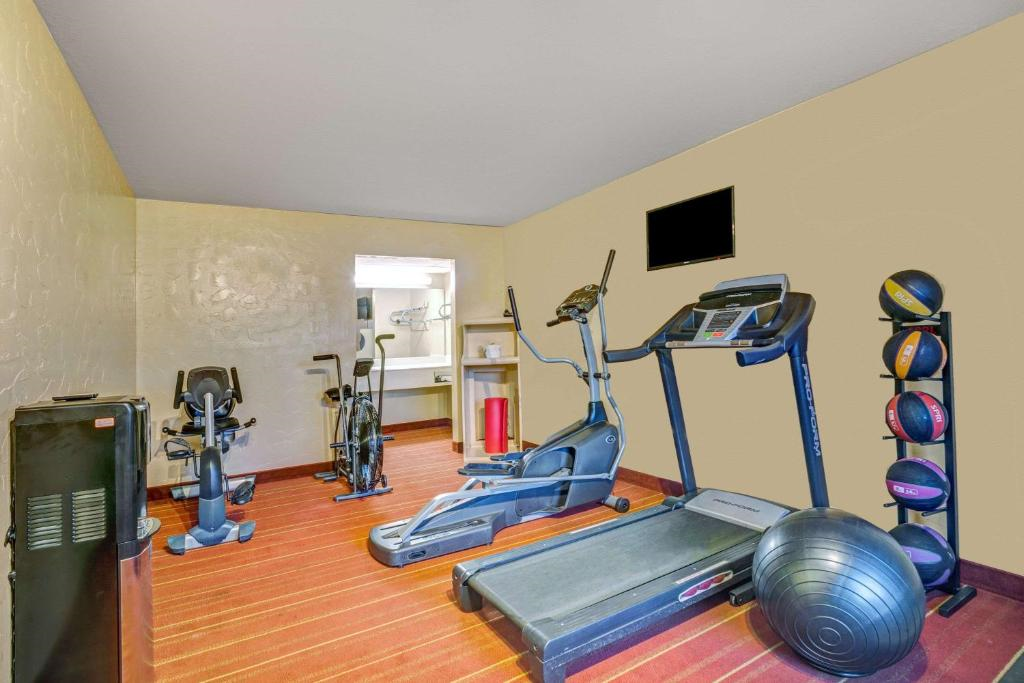 Small gym room with a treadmill, elliptical, stationary bikes, and a rack holding medicine balls. Red striped carpet and a blank TV on the wall.
