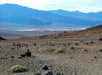 Death Valley Tour in Las Vegas, Nevada