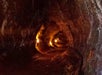 You'll feel like you're in an Indiana Jones movie as we walk through the Thurston Lava Tube!