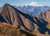 Denali Backcountry Photo Excursion