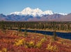 Denali National Park and Preserve