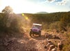 A pink Jeep drives on a rocky dirt trail surrounded by trees under a bright sun and clear sky.