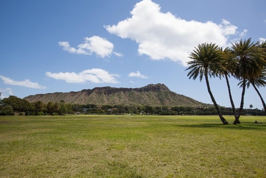 Diamond Head crater is seen in the distance under a blue sky with scattered clouds, with a grassy field and a few palm trees in the foreground.