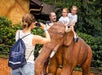 Mammoths, Giants of the Ice Age now on display at Dinosaur World