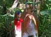 Dinosaur World Florida in Plant City, Florida