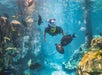 Discovery Cove Orlando in Orlando, Florida