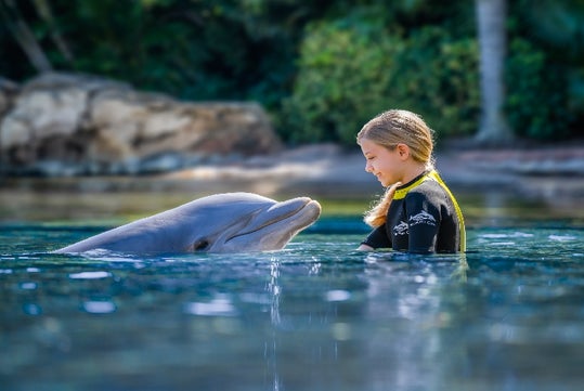 Discovery Cove Orlando in Orlando, Florida