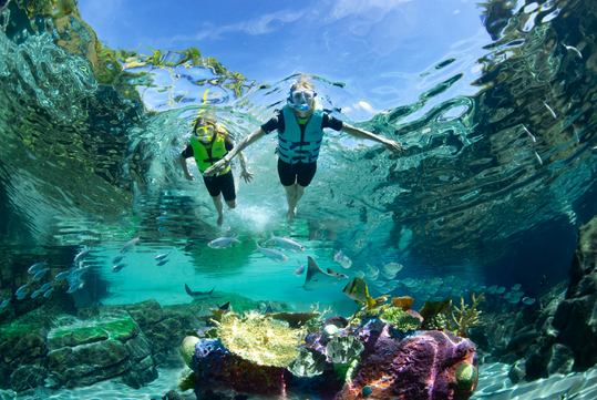 Two people wearing life vests snorkel in clear water above colorful coral and fish, with sunlight streaming through the surface.
