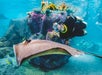 Discovery Cove Orlando in Orlando, Florida