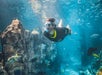 Discovery Cove Orlando in Orlando, Florida