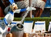 Disney's All-Star Sports Resort in Lake Buena Vista, Florida