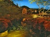 Disney's Animal Kingdom Lodge.