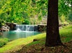 Waterfall - Dogwood Canyon Nature Park in Lampe, MO