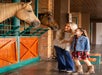 Dolly Parton's Stampede Dinner Attraction in Pigeon Forge, Tennessee
