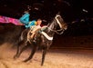Dolly Parton's Stampede Dinner Attraction in Pigeon Forge, Tennessee