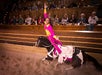 Dolly Parton's Stampede Dinner Attraction in Pigeon Forge, Tennessee