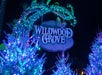 Entrance sign to Wildwood Grove, decorated with blue and green lights, surrounded by illuminated trees at night.