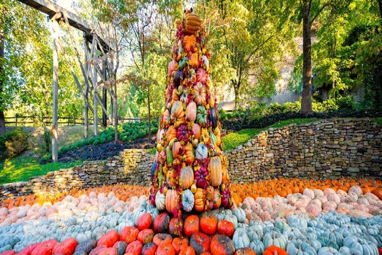 A tall cone-shaped display made of stacked pumpkins and gourds stands surrounded by more pumpkins, with trees and a stone wall in the background.