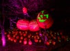 Great Pumpkin LumiNights at Dollywood Harvest Festival in Pigeon Forge