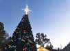 A large Christmas tree decorated with colorful lights and ornaments stands outdoors at dusk, topped with a glowing star.
