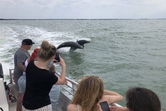 The group on the boat watching some Dolphins play in the water next to the boat on the Dolphin, Birding, and Shelling Tour in Goodland Florida, USA.