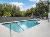 Outdoor swimming pool with lounge chairs and umbrellas, surrounded by a gray wall and trees in the background.