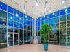 A modern lobby with large windows, a potted plant, and star-shaped ceiling lights.