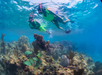 Two snorkelers swim over a coral reef, surrounded by clear blue water and marine life.
