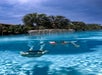Two people swim underwater in a clear blue pool, with a waterfall and palm trees visible above the waterline on a sunny day.